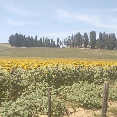 別荘 La Casa Di Rosa