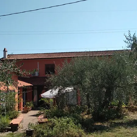 La Casa Di Rosa