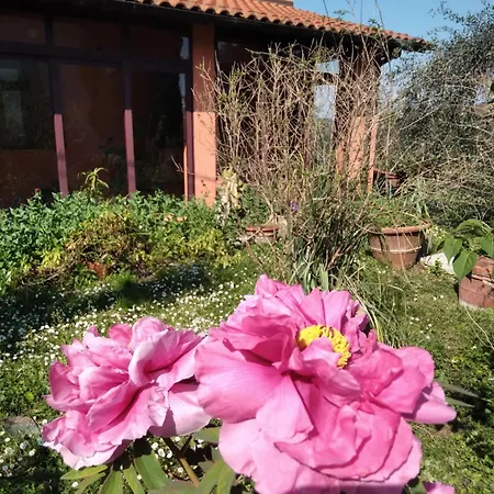 La Casa Di Rosa