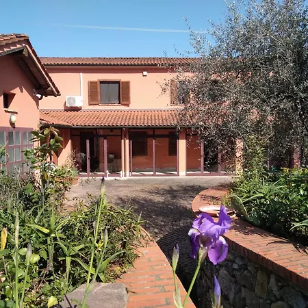 La Casa Di Rosa Selvatelle