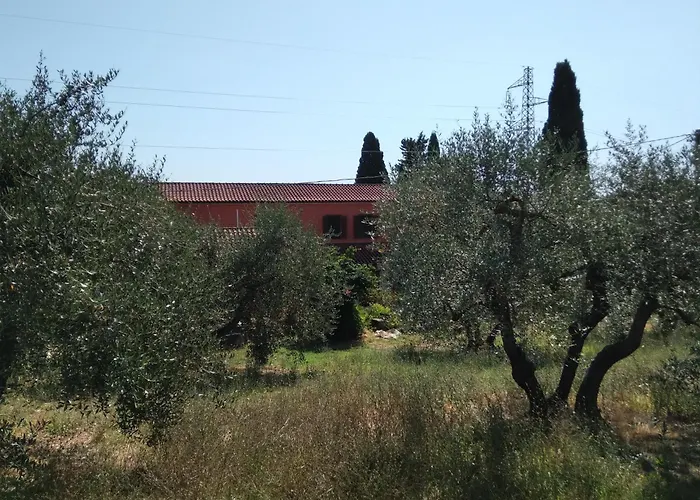La Casa Di Rosa Selvatelle