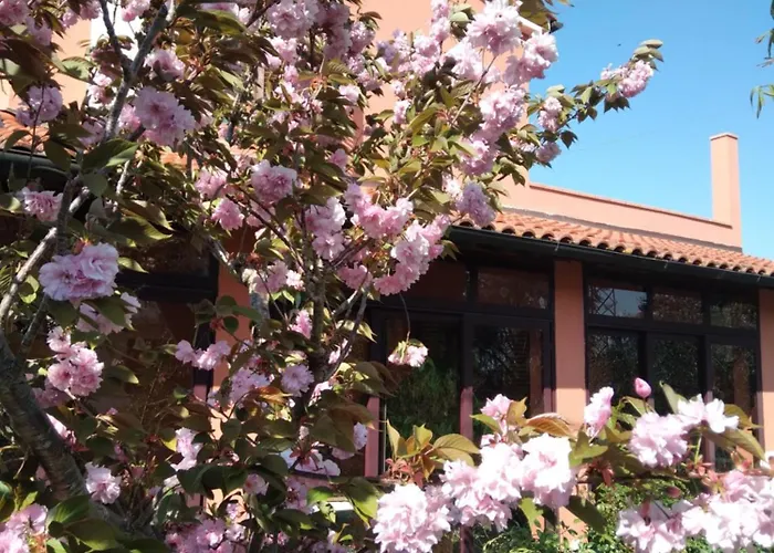 La Casa Di Rosa * Selvatelle