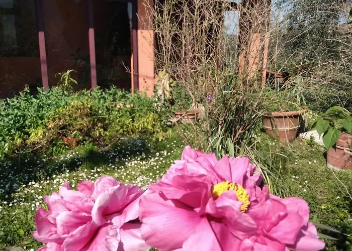 La Casa Di Rosa