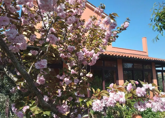 La Casa Di Rosa *