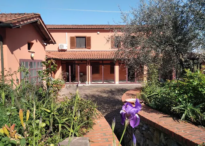 La Casa Di Rosa Selvatelle